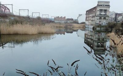 Question orale concernant la rénovation de l’immeuble classé Le Métropole à Forest