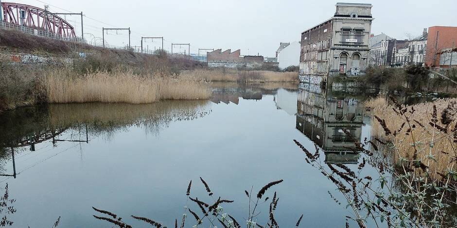 Question orale concernant la rénovation de l’immeuble classé Le Métropole à Forest