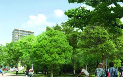 Demande d&rsquo;explication concernant l&rsquo;annonce du Gouvernement concernant le projet Médiapark