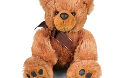 Question orale concernant le musée du jouet